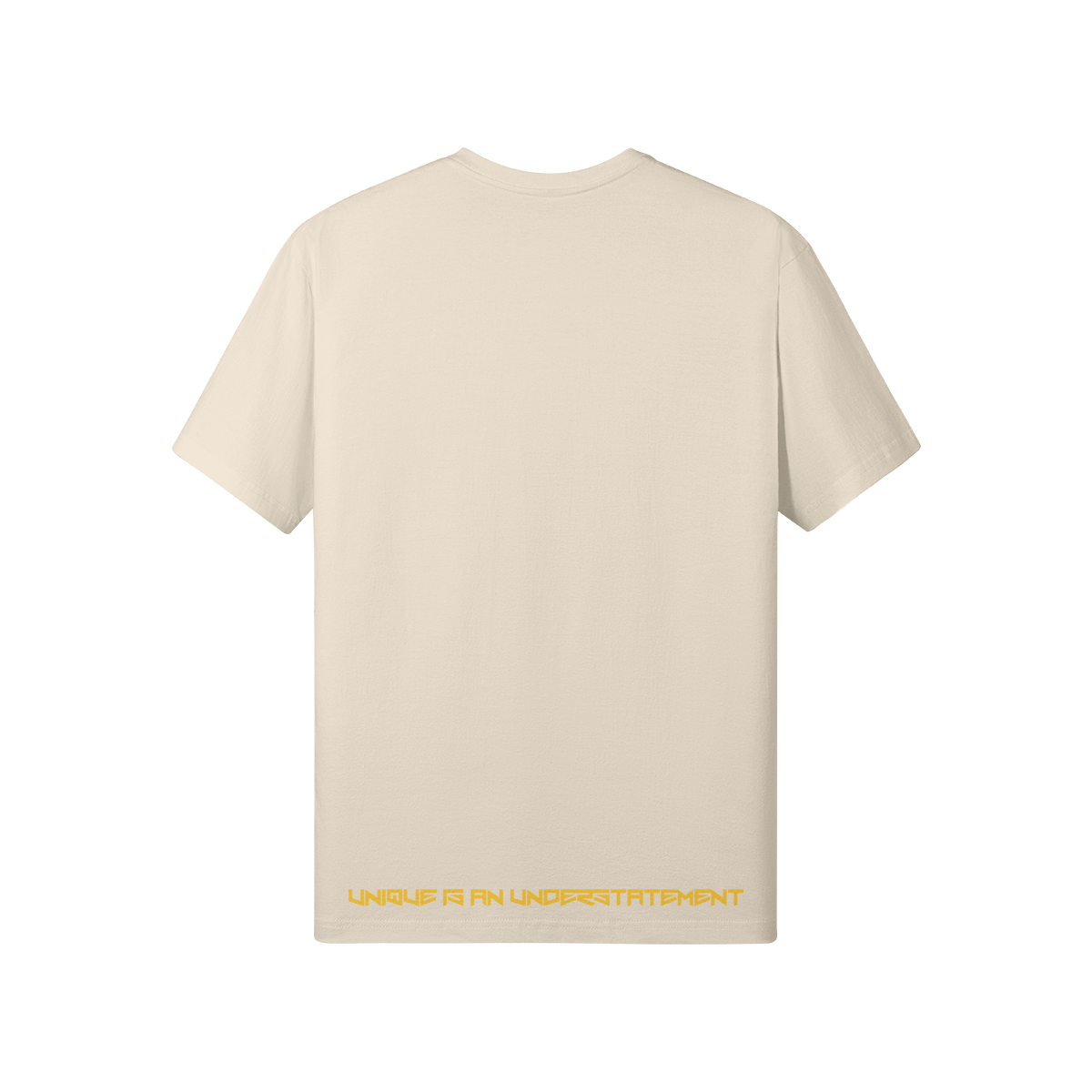 0-Y87-Back Side